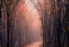 中欧体育：南洋杯新加坡开赛 常昊：让围棋魅力辐射更广.