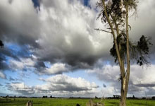 中欧体育：巴爾韋德：貝林厄姆成就不可思議，夢想一直想成為皇家馬德裏隊長.